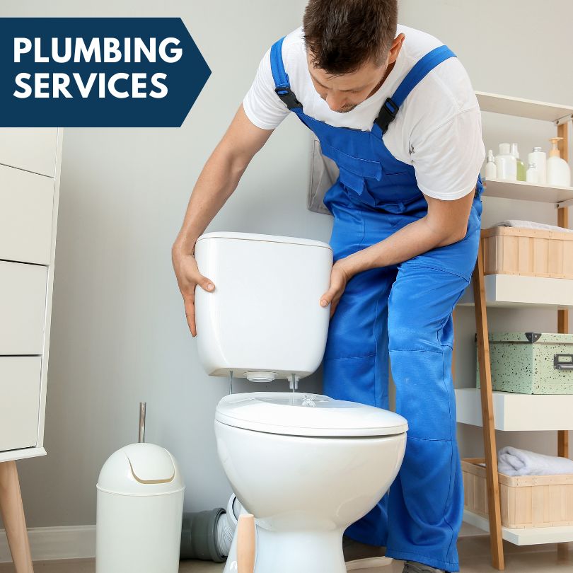 Plumbing Company in Romulus, NY